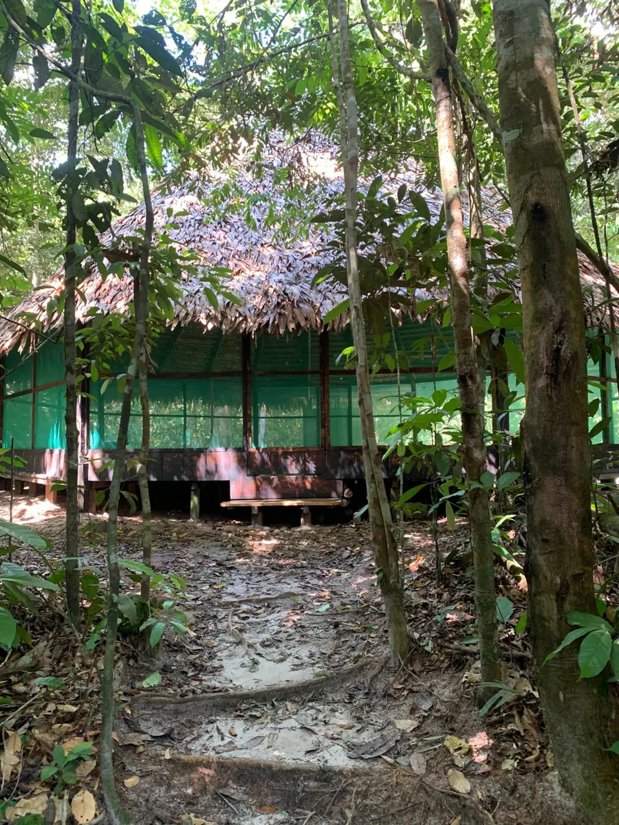 La maloca de Naturalia entre los árboles de la selva, Iquitos, Perú