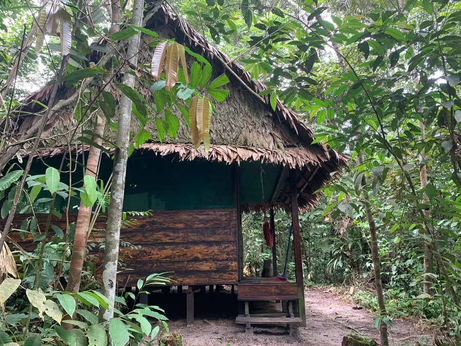 Exterior de un bungalow de Naturalia