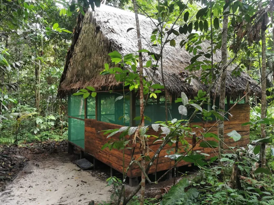 Bungalow de madera rodeado de selva