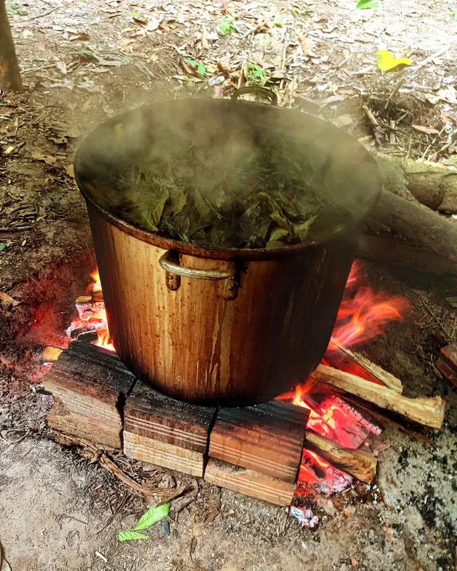 Olla al fuego durante la preparación tradicional de la medicina