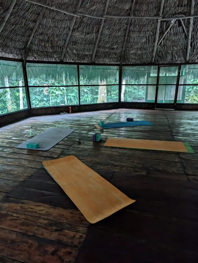 Esterillas de yoga dispuestas en la maloca de Naturalia